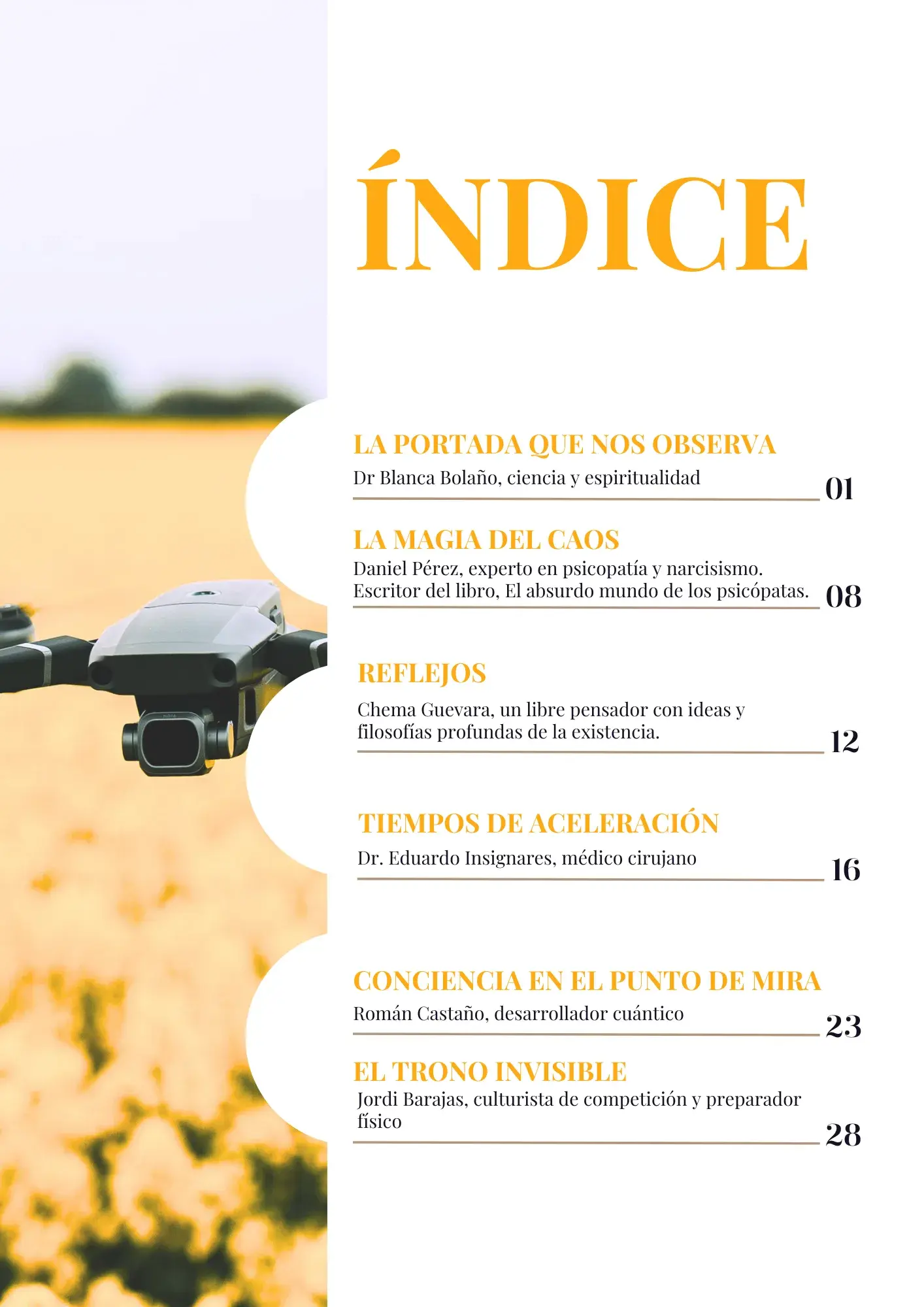 Vista previa 2 de NOS OBSERVAN, Y NOSOTROS A ELLOS